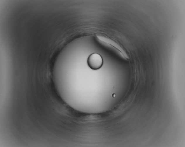 X0000110770320200906291053