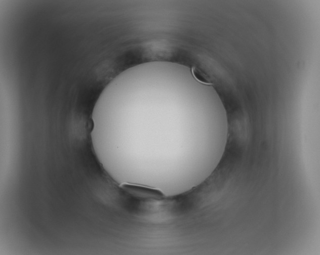 X0000110770323200906291053