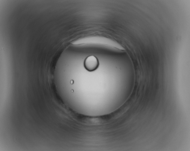 X0000110770324200906291053