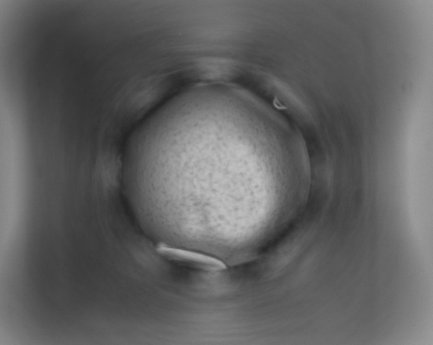 X0000110770325200906291053