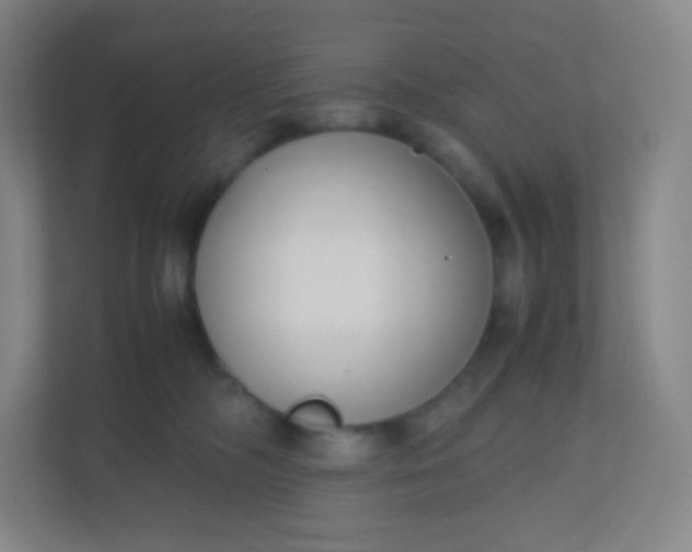 X0000110770326200906291053