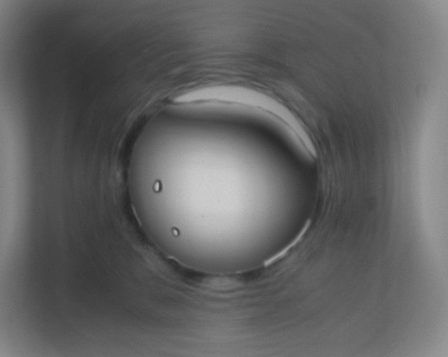 X0000110770327200906291053