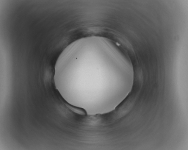 X0000110770328200906291053