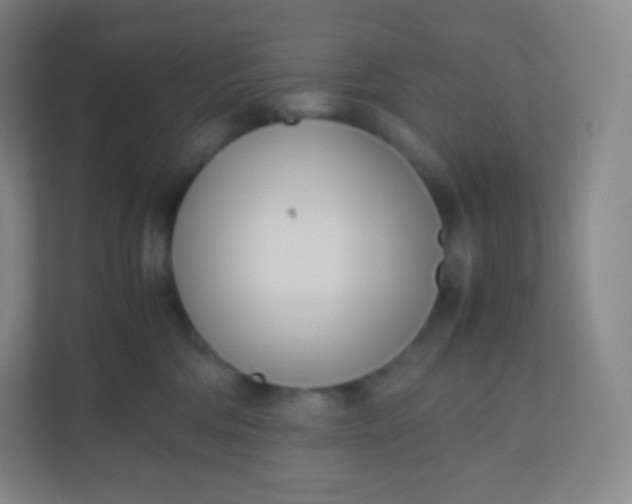 X0000110770330200906291053