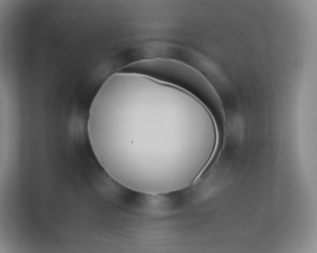 X0000110770333200906291053