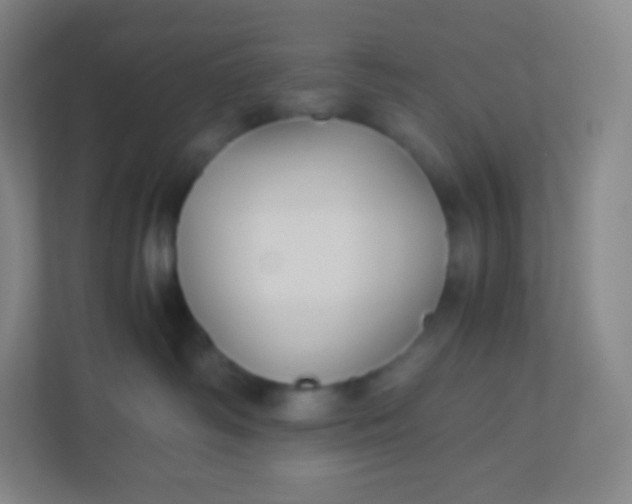 X0000110770334200906291053