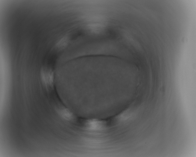 X0000110770336200906291053