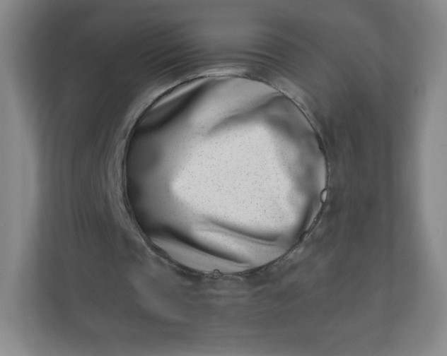 X0000110770337200906291052