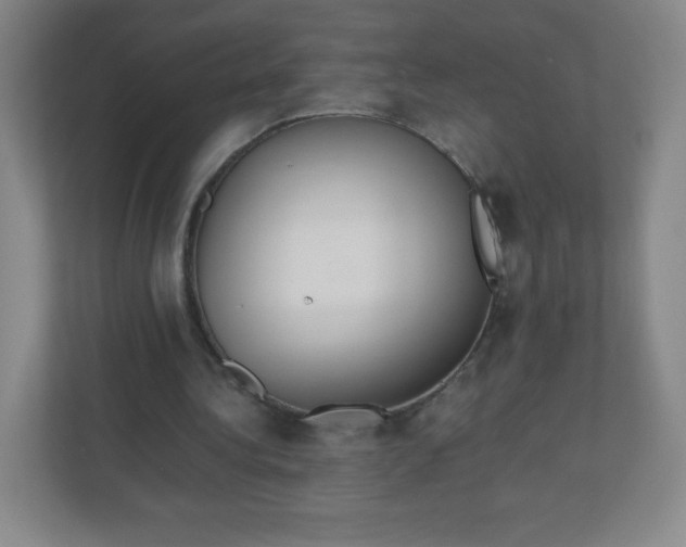 X0000110770340200906291052