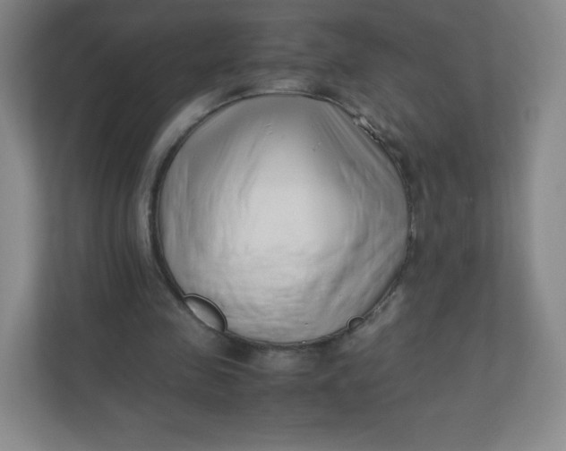 X0000110770341200906291052