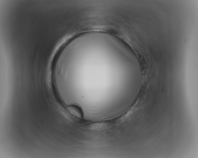 X0000110770342200906291052