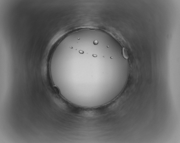 X0000110770344200906291052