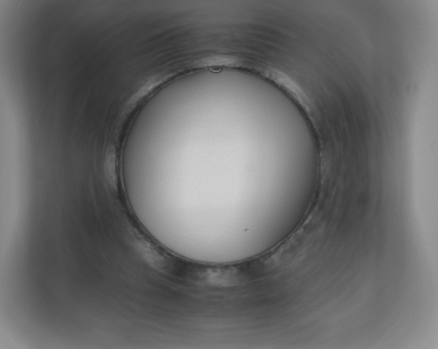 X0000110770345200906291052