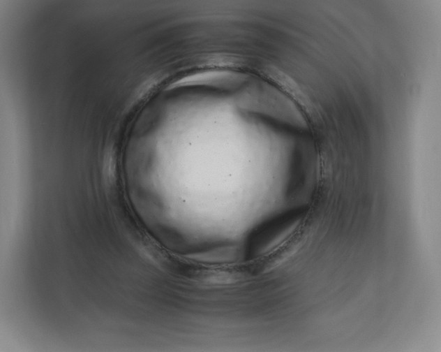 X0000110770347200906291052