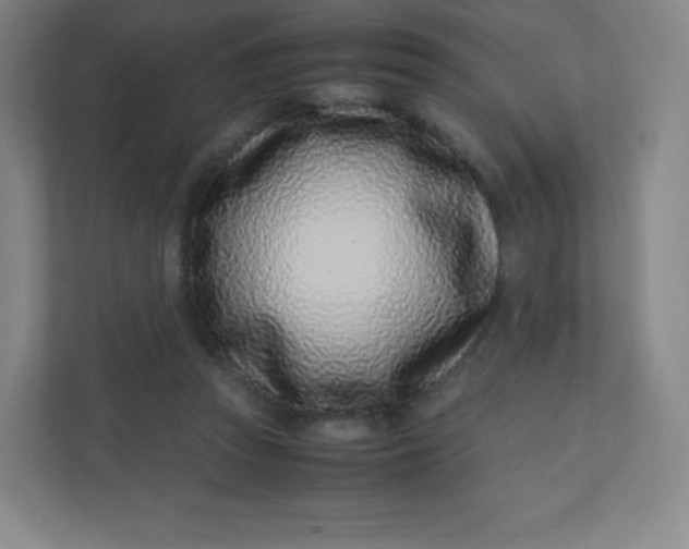 X0000110770353200906291052