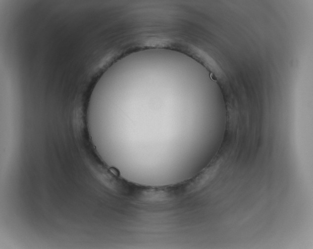 X0000110770354200906291052