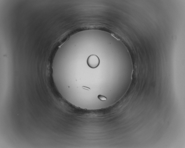 X0000110770356200906291052