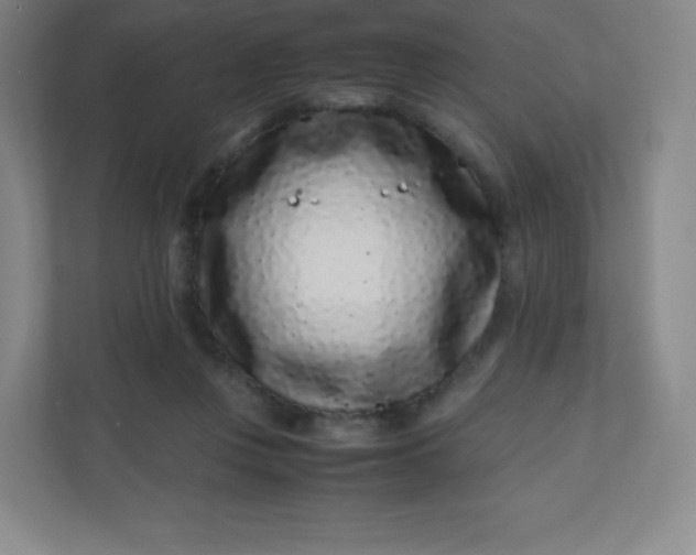 X0000110770359200906291052