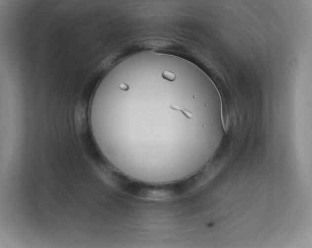 X0000110770360200906291053