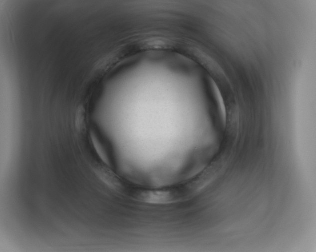 X0000110770361200906291053