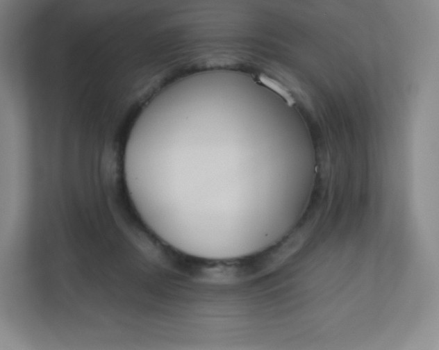 X0000110770362200906291053