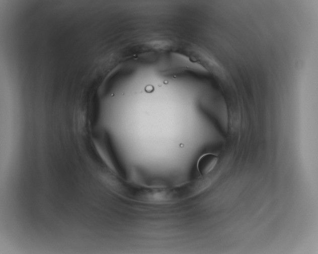 X0000110770365200906291053