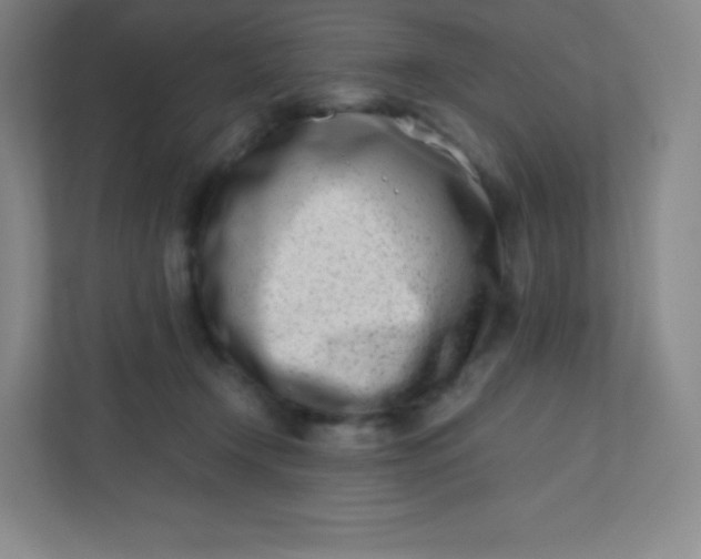 X0000110770366200906291053