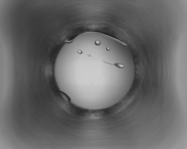 X0000110770368200906291053