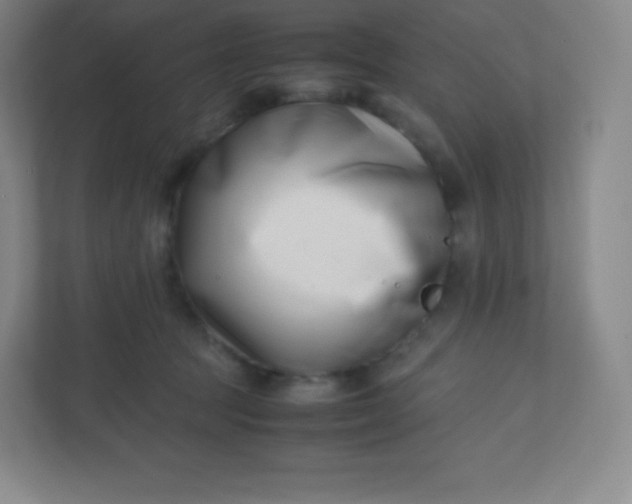 X0000110770369200906291053