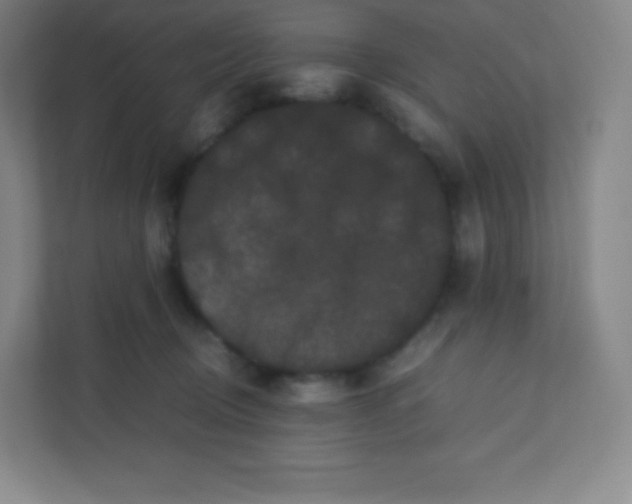 X0000110770370200906291053