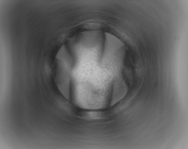 X0000110770371200906291053