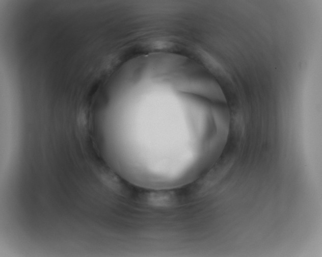 X0000110770373200906291053