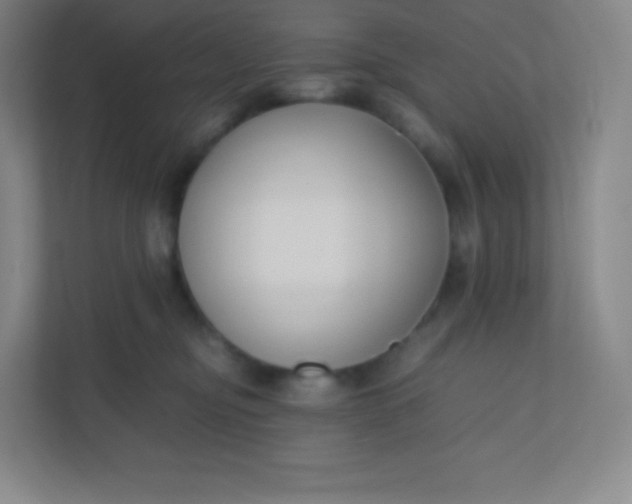 X0000110770374200906291053