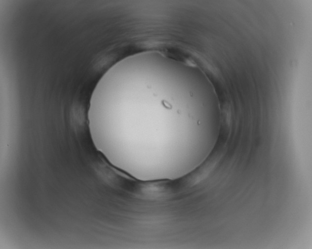 X0000110770380200906291053