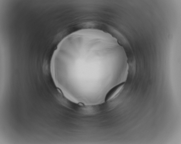 X0000110770381200906291053