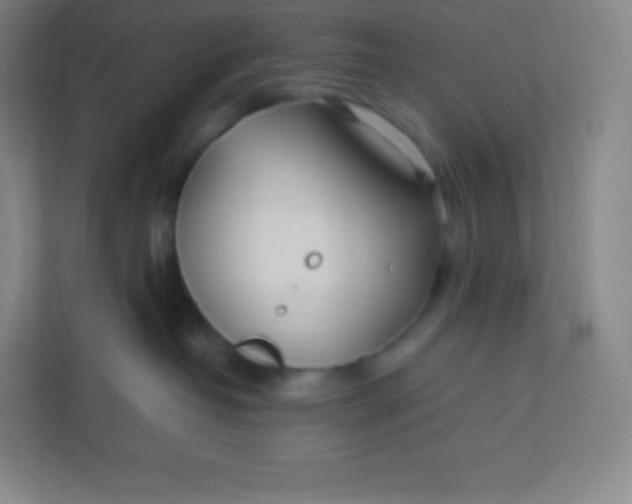 X0000110770382200906291053