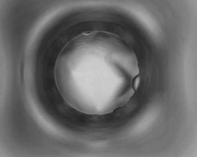 X0000110770383200906291053