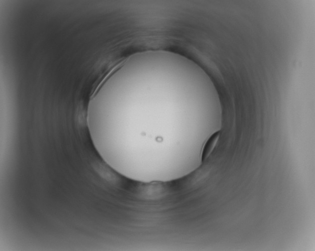 X0000110770384200906291053