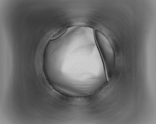 X0000110770385200906291052