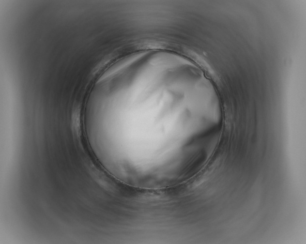 X0000110770386200906291052