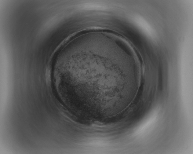 X0000110770387200906291052