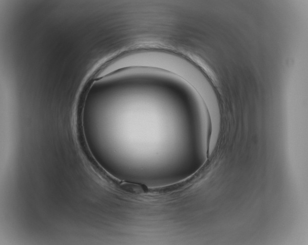 X0000110770391200906291052