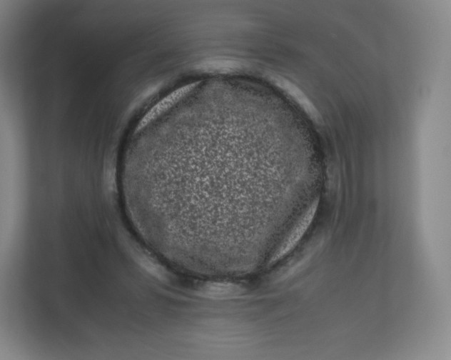 X0000110770399200906291052