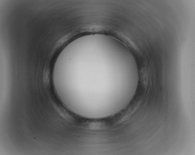 X0000110770400200906291052