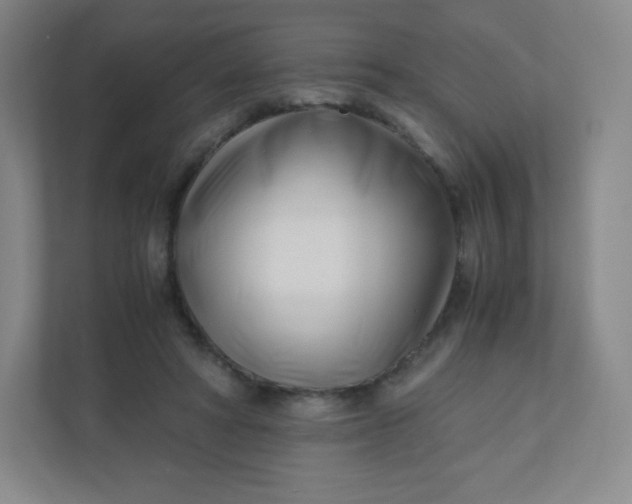 X0000110770402200906291052