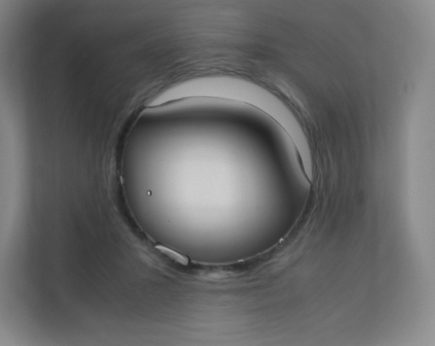 X0000110770407200906291052