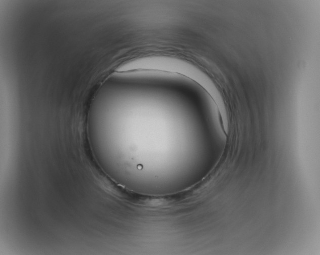 X0000110770409200906291052