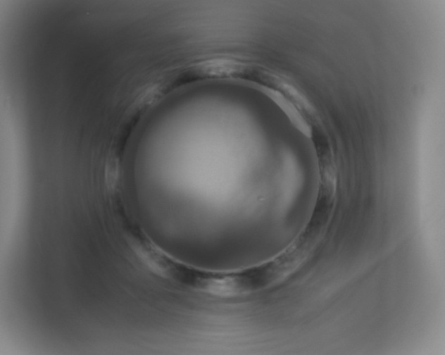 X0000110770411200906291052