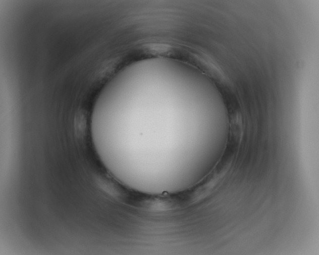 X0000110770412200906291052