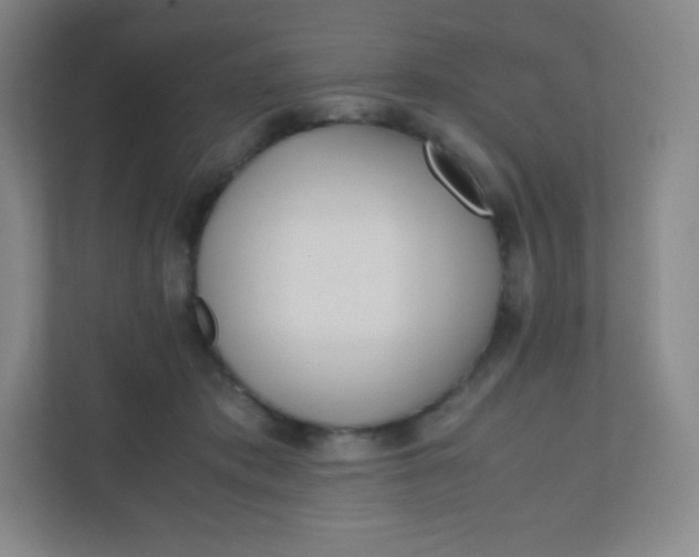 X0000110770413200906291052